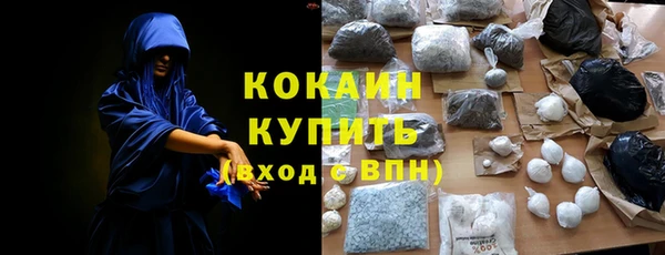 шишки Аркадак