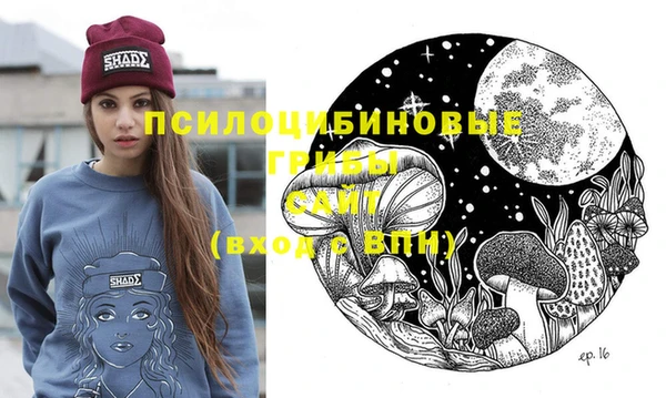 дживик Армянск