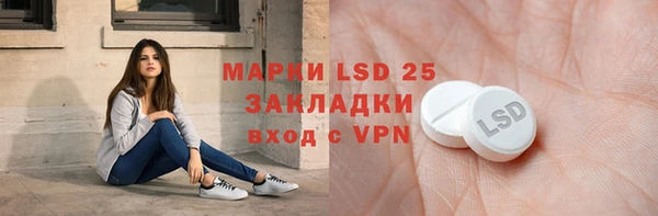 шишки Аркадак