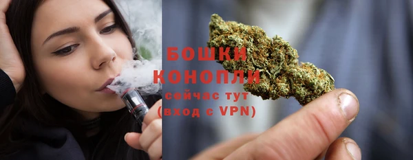 шишки Аркадак