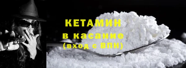 шишки Аркадак