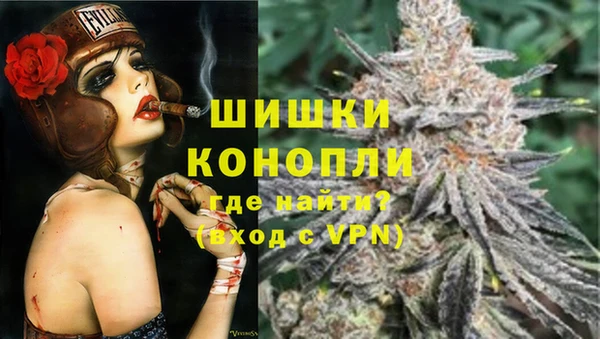 шишки Аркадак
