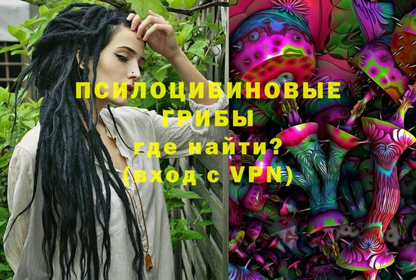 шишки Аркадак