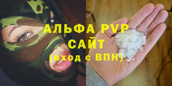 шишки Аркадак