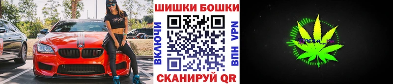 Бошки Шишки планчик  Миньяр 